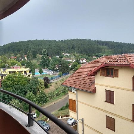Apartman Ninic Vrnjacka Banja Bagian luar foto