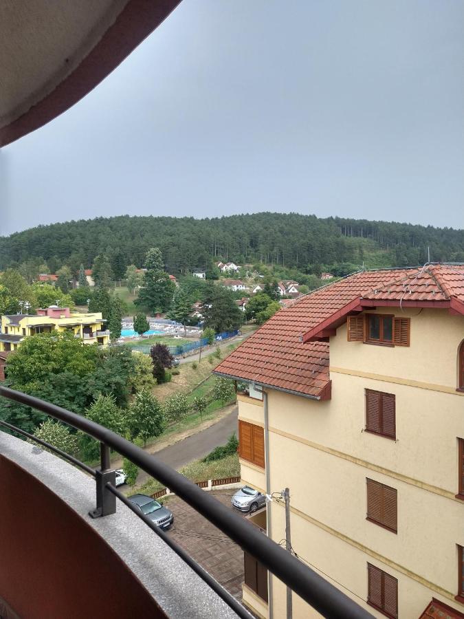 Apartman Ninic Vrnjacka Banja Bagian luar foto